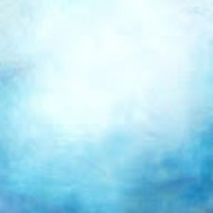 Meet your Posher, Abbey